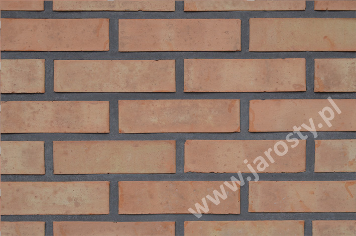 fabbrica di mattoni in Polonia ruvida facciata in ceramica facciata mattoni bruciatori di carbone